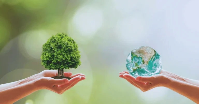 10 of the Best Practices for a Greener Future