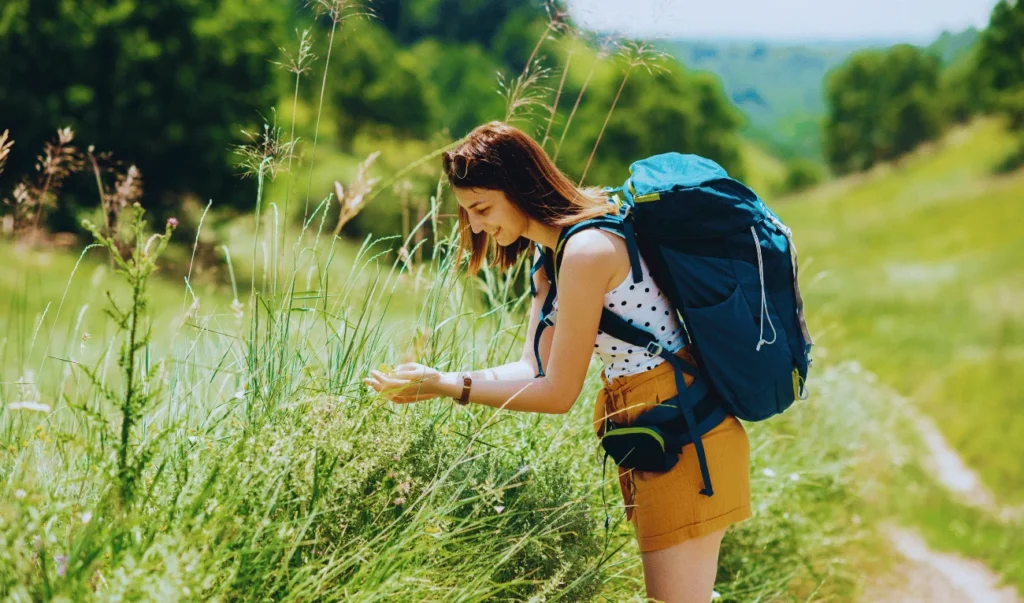 Things to Do in Austin`: admire the Wildflowers at the Lady Bird Johnson Wildflower Center