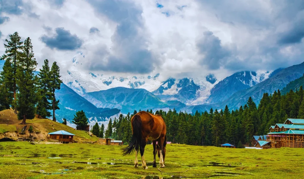 a horse is standing in the middle of a field with mountains in the background