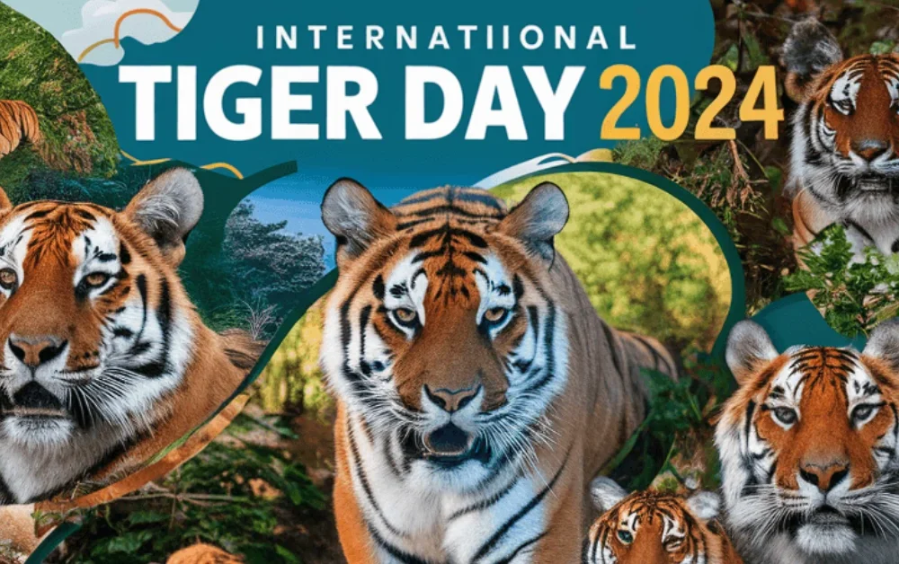 International Tiger Day 2024: All You Need to Know