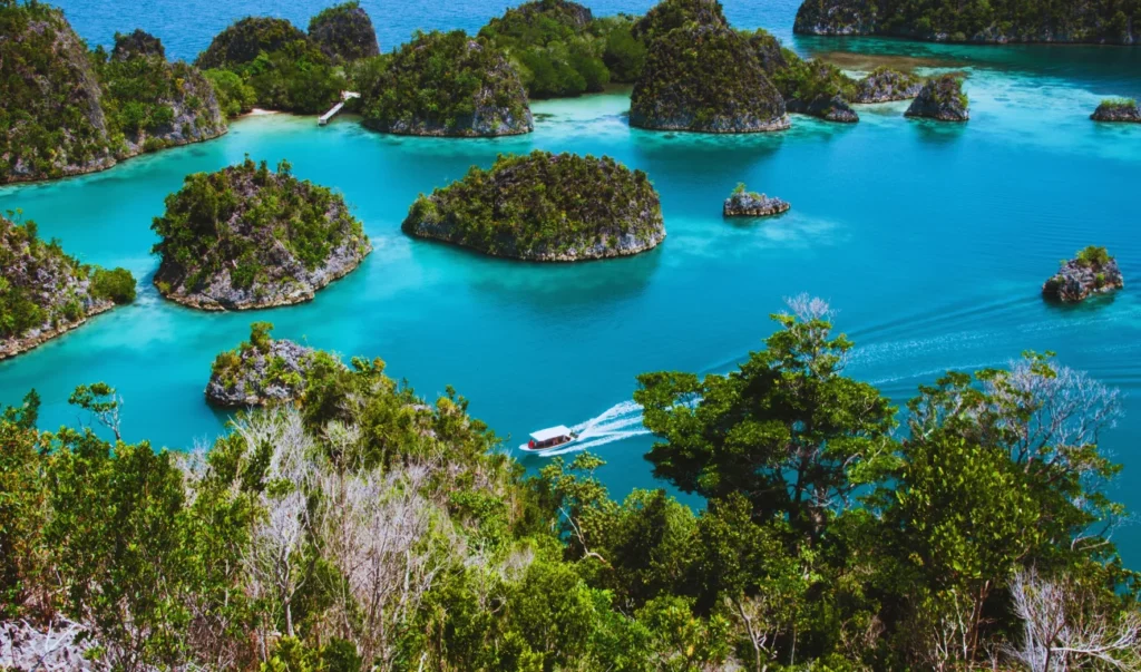 komodo national park, komodo island, indonesia