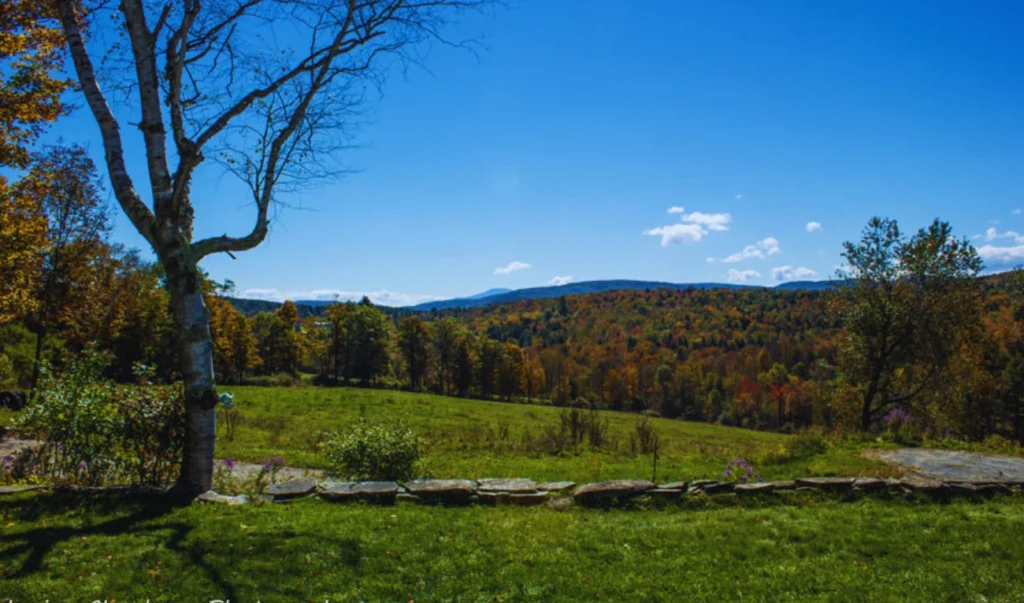 a field with trees and mountains in the background