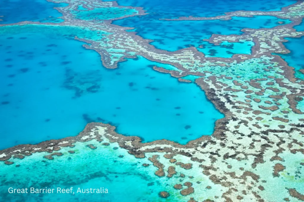 Great Barrier Reef Australia